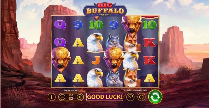 Big Buffalo Gameplay